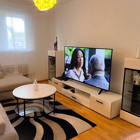 Havre De Paix 2-3 Pieces Apartment Strasbourg Bagian luar foto