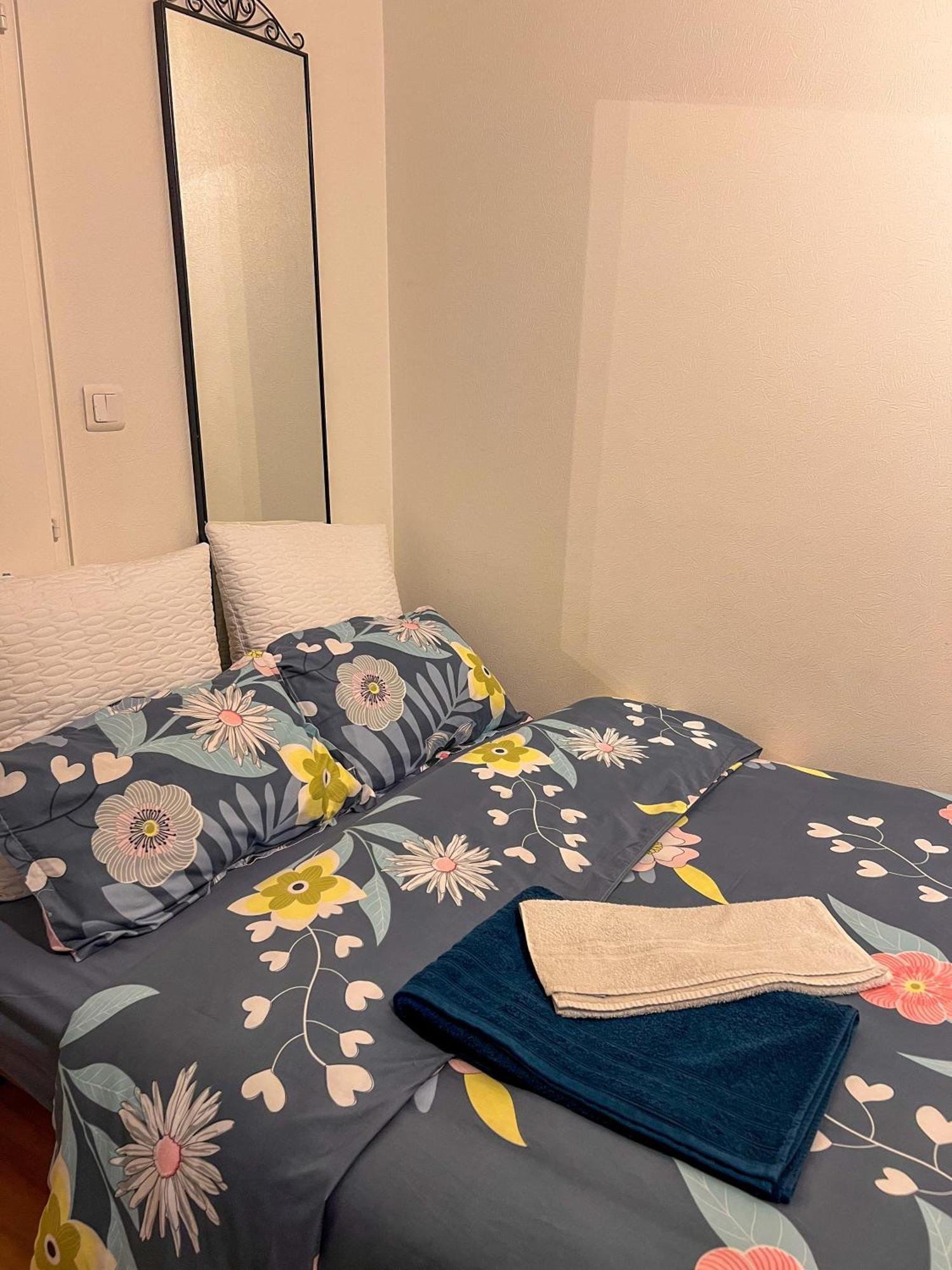 Havre De Paix 2-3 Pieces Apartment Strasbourg Bagian luar foto